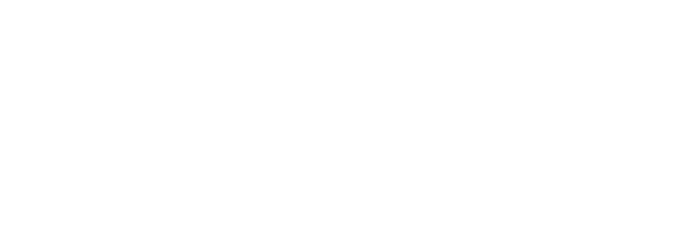 INNOVATION RISE SOLUTIONS